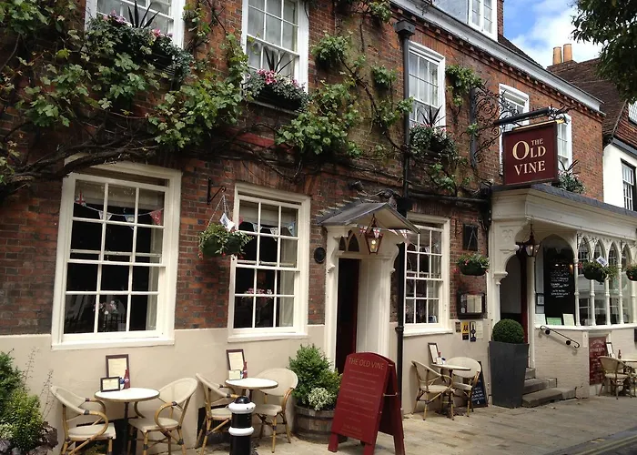 The Old Vine