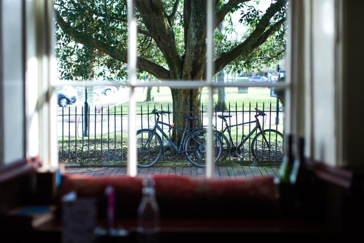 The Old Vine 4*